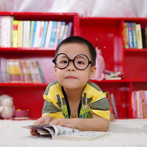adorable-blur-bookcase-books-261895